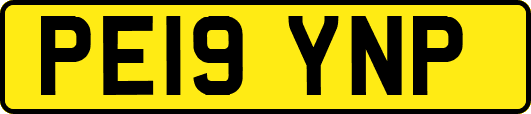 PE19YNP