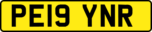 PE19YNR