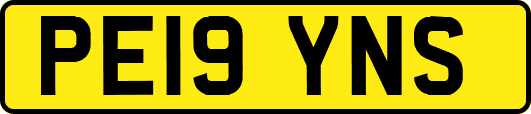 PE19YNS