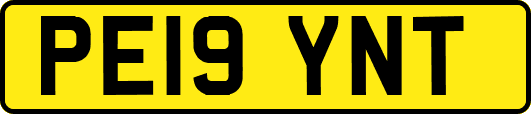 PE19YNT