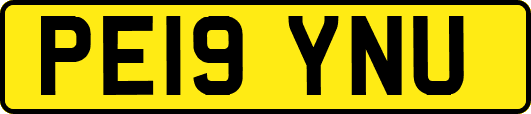 PE19YNU