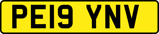PE19YNV
