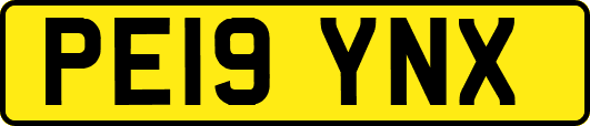 PE19YNX