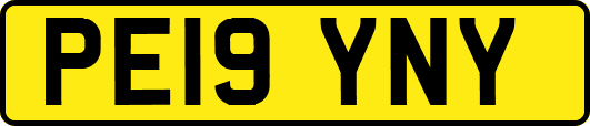 PE19YNY