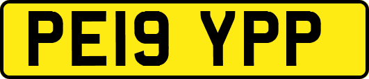 PE19YPP