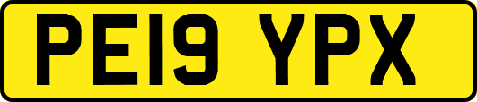 PE19YPX