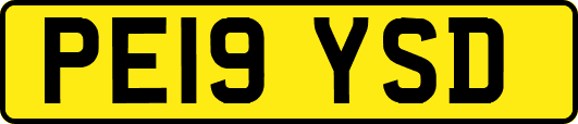 PE19YSD