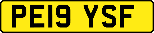 PE19YSF