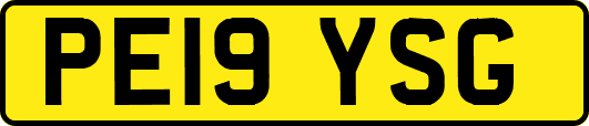 PE19YSG