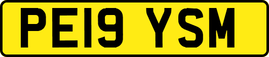 PE19YSM