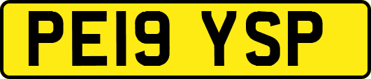 PE19YSP