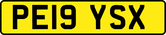 PE19YSX