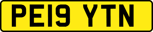 PE19YTN