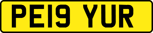 PE19YUR