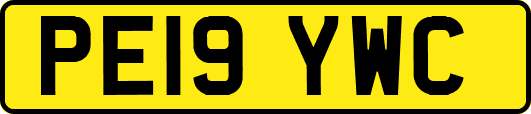 PE19YWC