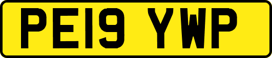 PE19YWP