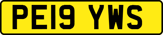 PE19YWS