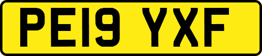 PE19YXF