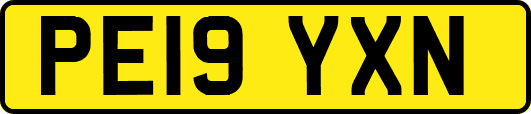 PE19YXN