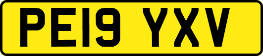 PE19YXV