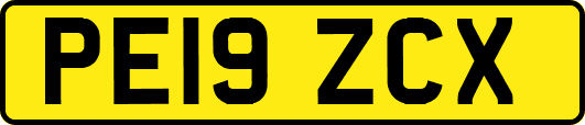 PE19ZCX