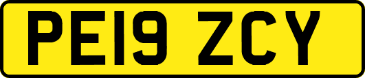 PE19ZCY