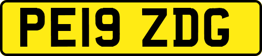PE19ZDG