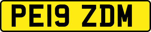 PE19ZDM