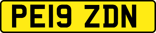 PE19ZDN