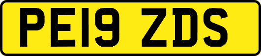 PE19ZDS