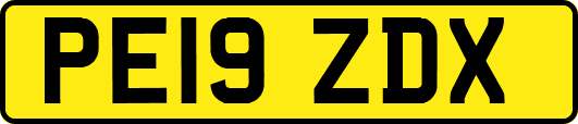 PE19ZDX
