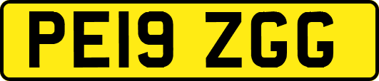 PE19ZGG
