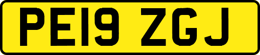 PE19ZGJ