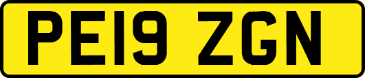 PE19ZGN