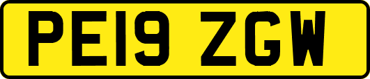 PE19ZGW