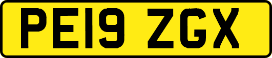 PE19ZGX