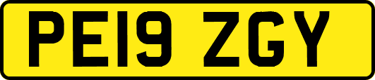 PE19ZGY