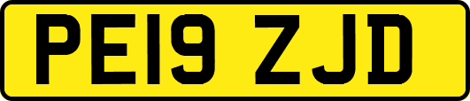 PE19ZJD