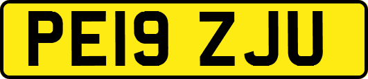 PE19ZJU
