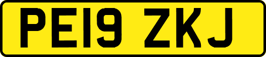 PE19ZKJ