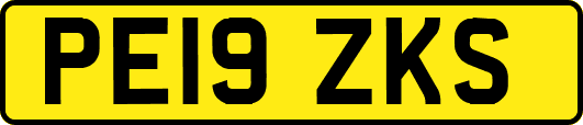 PE19ZKS