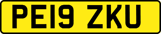 PE19ZKU