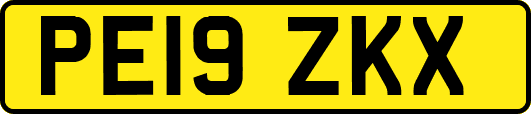 PE19ZKX