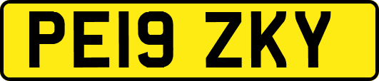 PE19ZKY