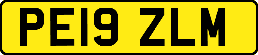 PE19ZLM