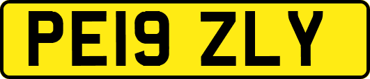 PE19ZLY