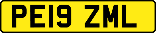 PE19ZML