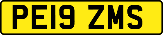 PE19ZMS