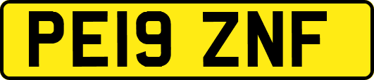 PE19ZNF