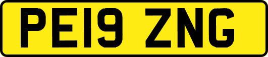 PE19ZNG